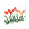 Trademark Fine Art Nicky Kumar 'Tulips' Canvas Art, 14x19 ALI12547-C1419GG